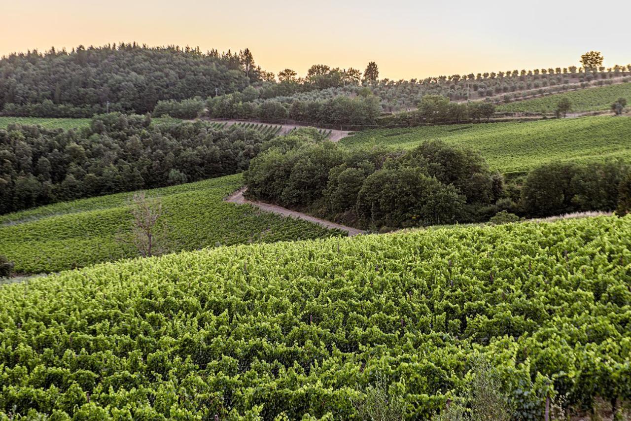 Agriturismo Casa Al Bosco Villa Castellina in Chianti Buitenkant foto