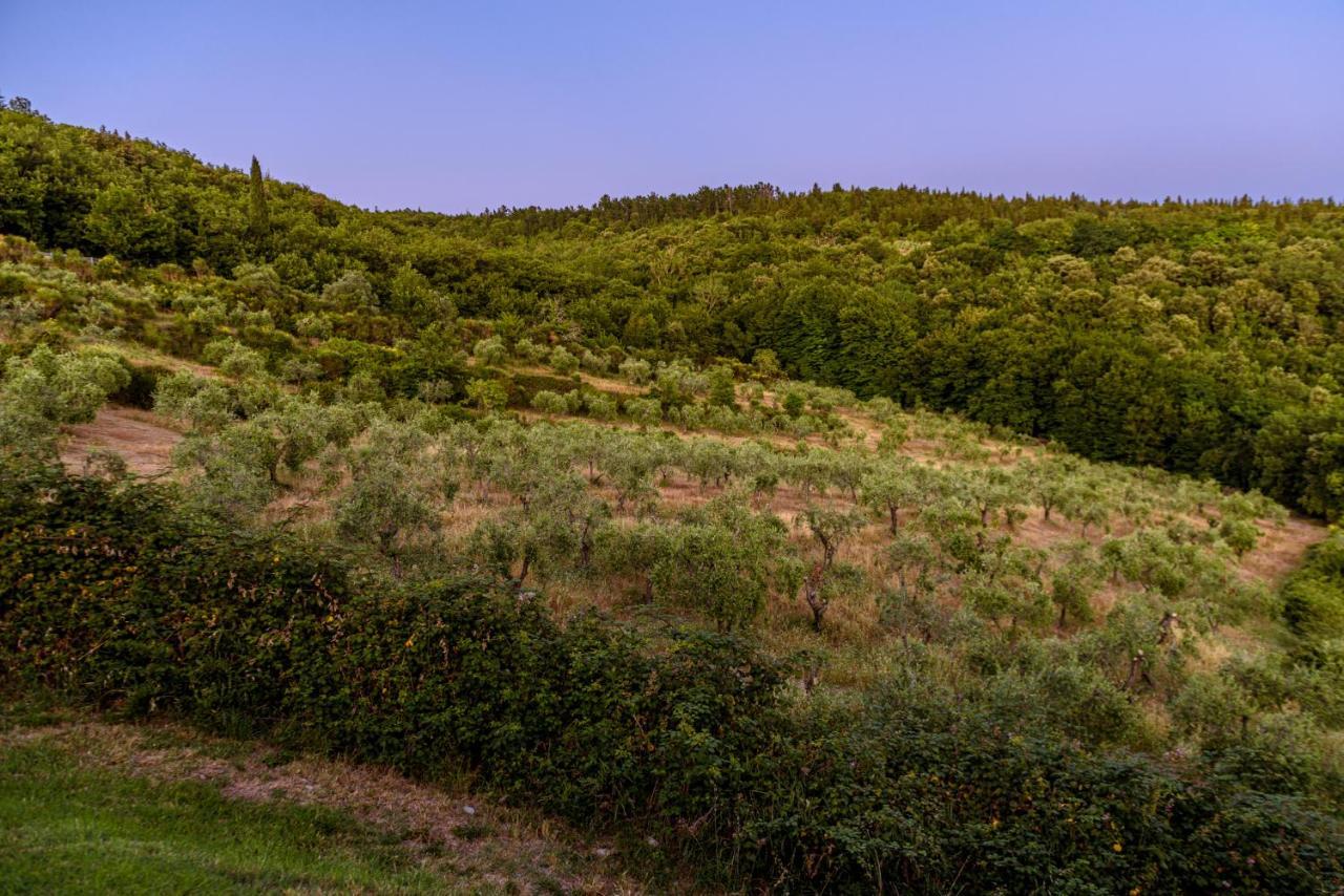 Agriturismo Casa Al Bosco Villa Castellina in Chianti Buitenkant foto